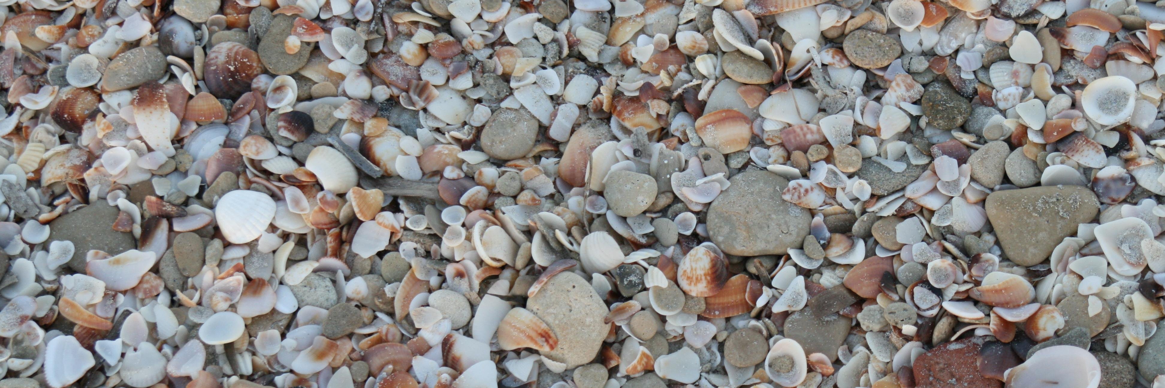 sl_tu's profile banner image