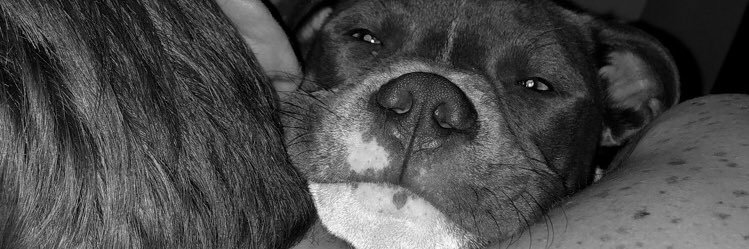 savannah02523's profile banner image