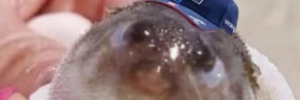 YappingBlue Profile Banner