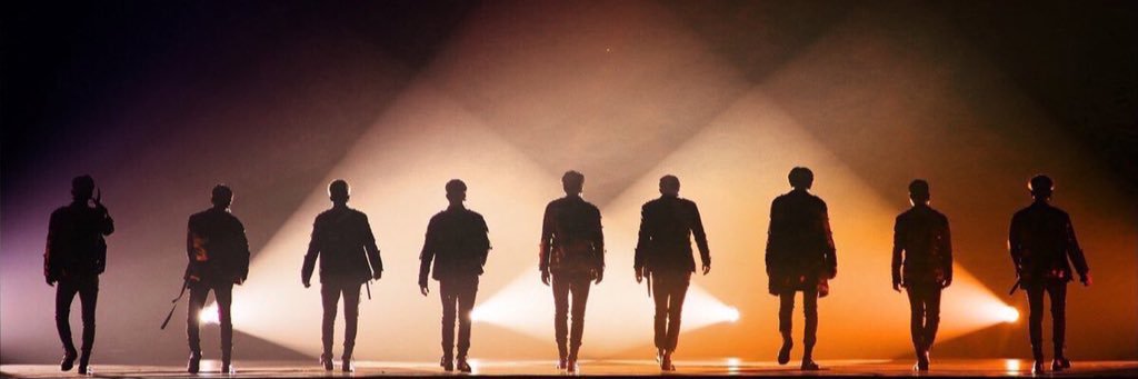 _TwinSouls's profile banner image