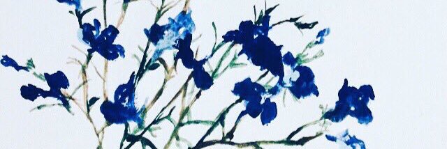 rinrin_c5's profile banner image