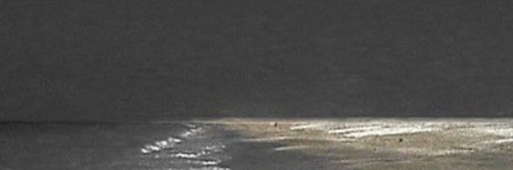 pxmsszn's profile banner image