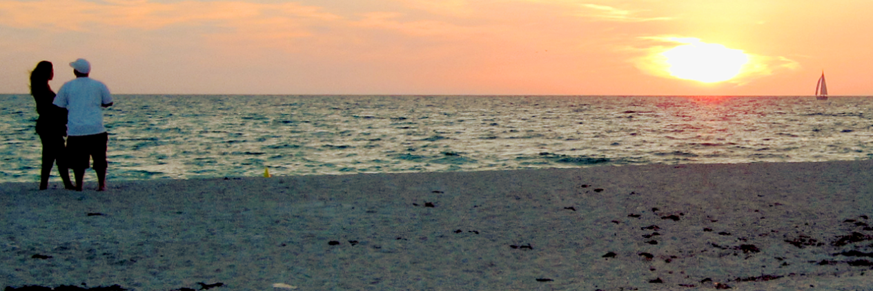 VeniceFla's profile banner image