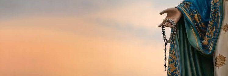 _allisonle's profile banner image