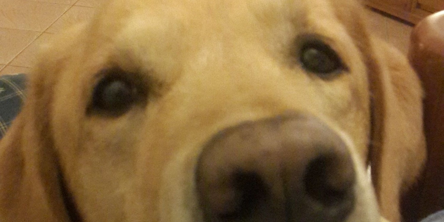 CremonaJuan's profile banner image