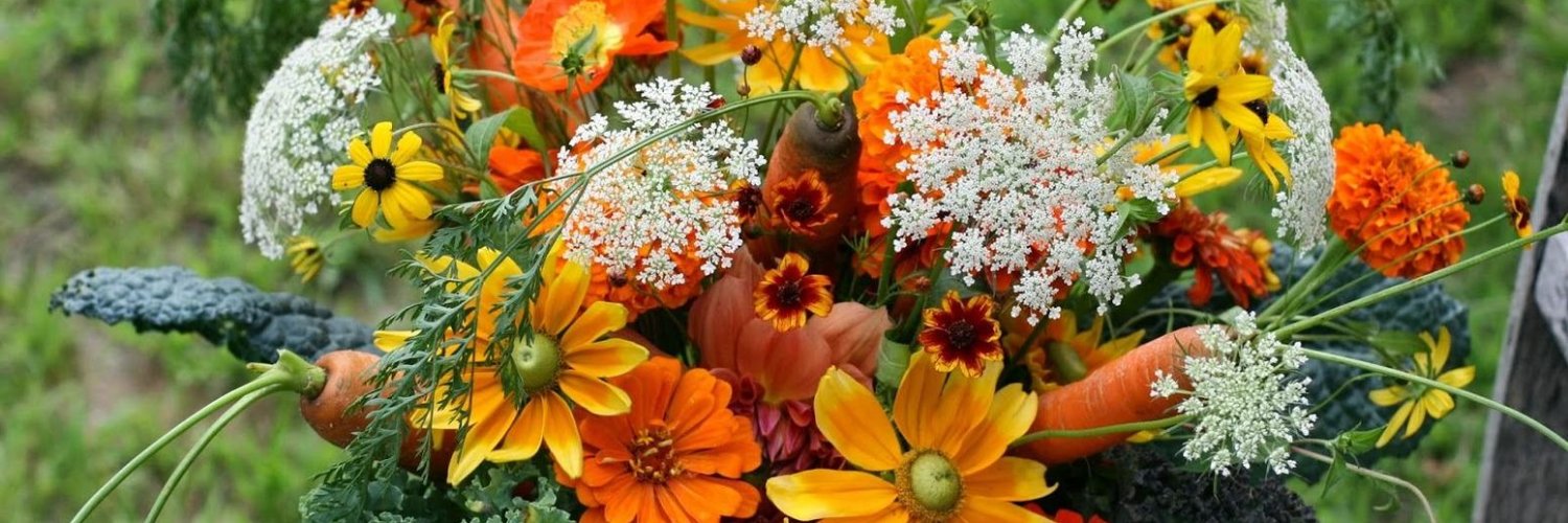 BrielleSmi69088's profile banner image