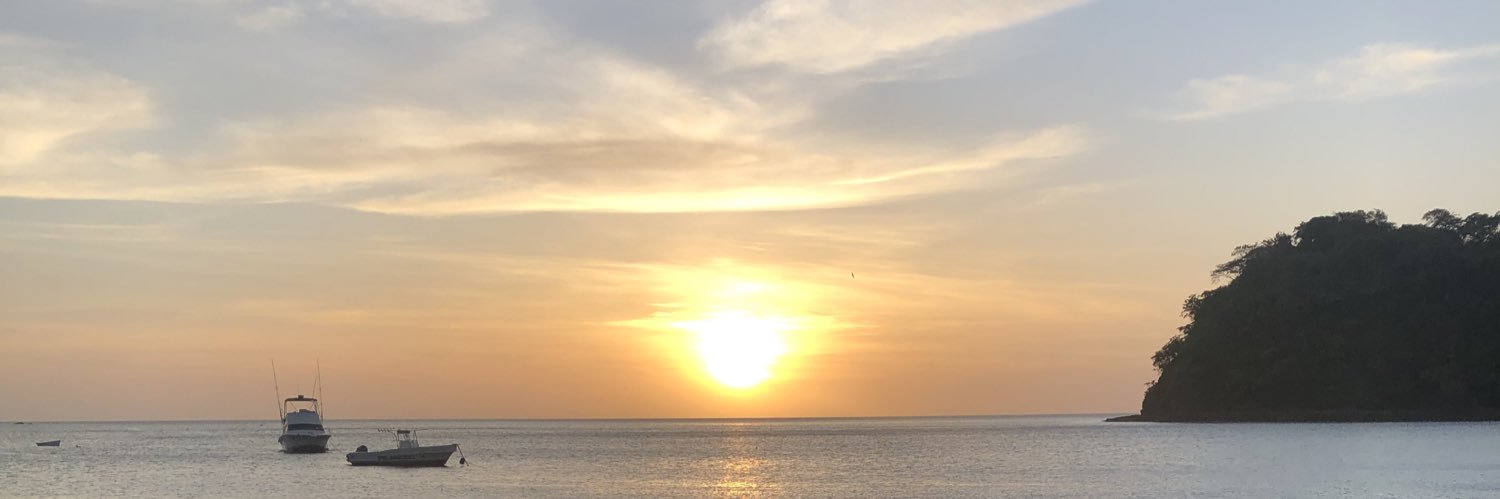 katya410's profile banner image