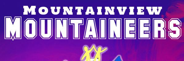 ShortClimbToTop's profile banner image