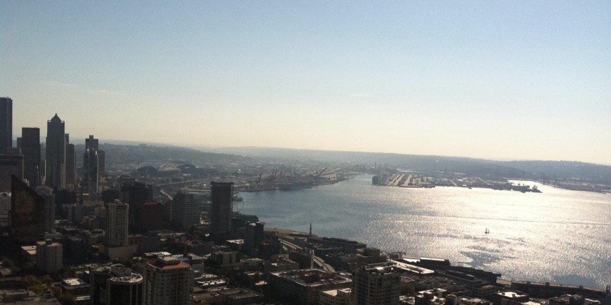 Allyson Murchison banner