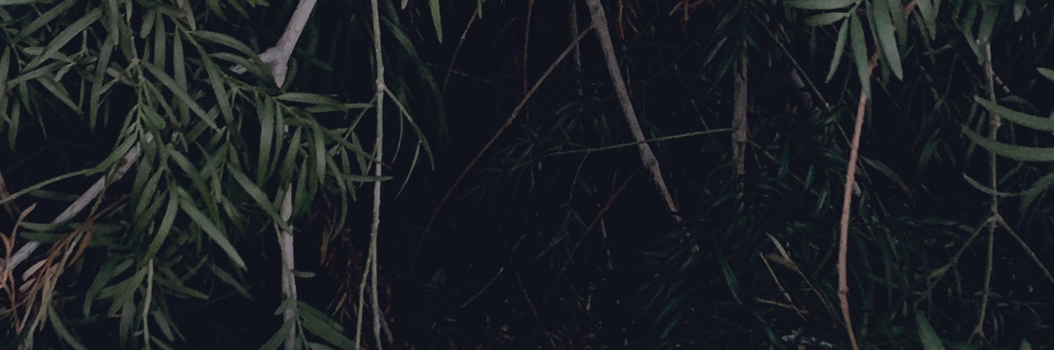 jertrude banner