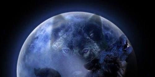 SnowDogMage's profile banner image