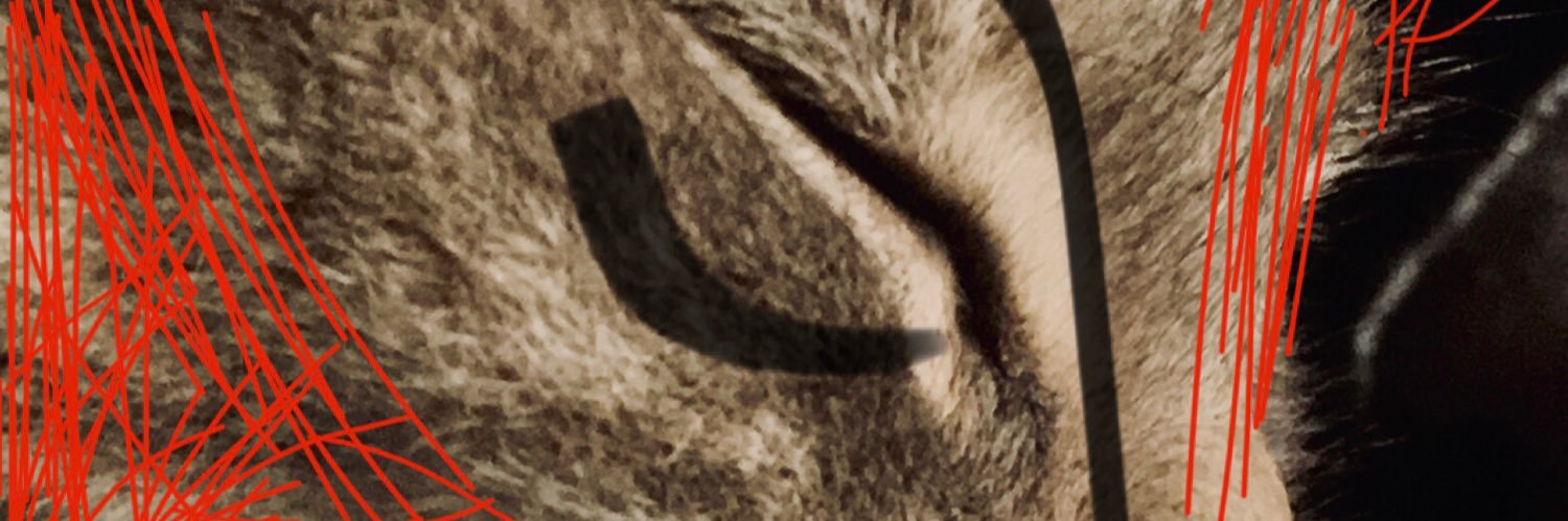 mirandajaco's profile banner image