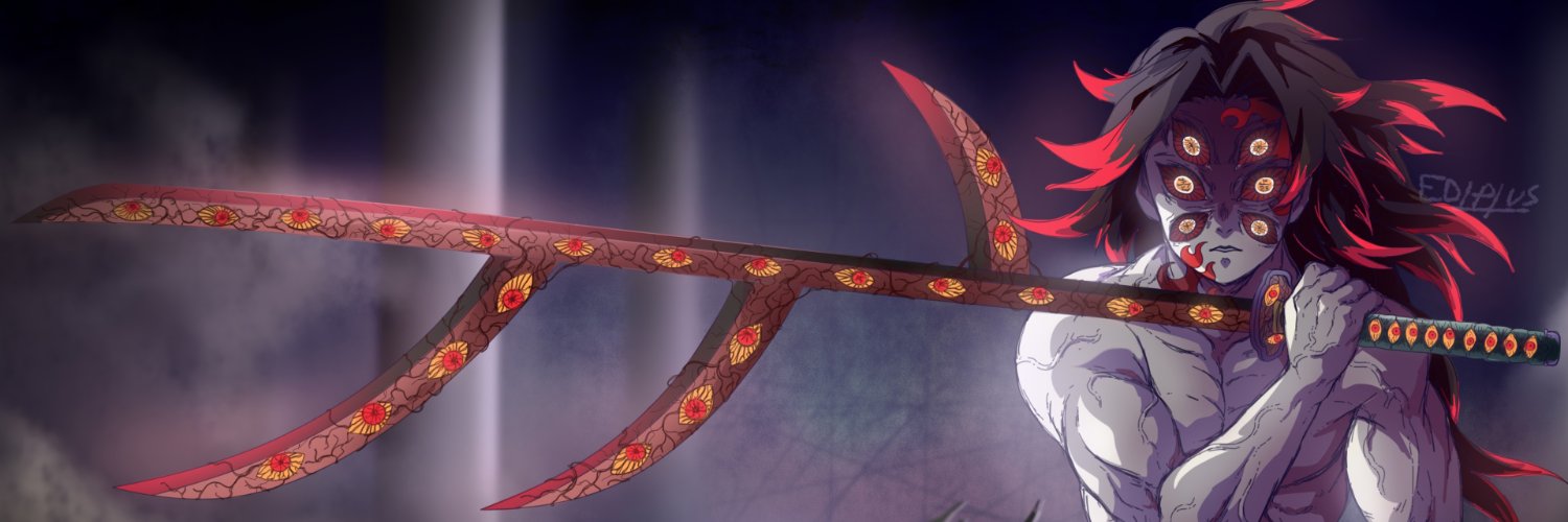 kaizoku banner