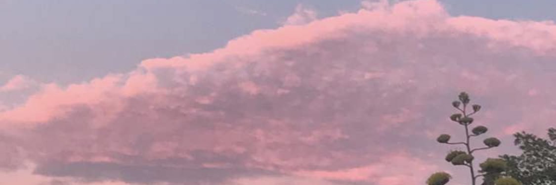 ClancyCrush's profile banner image