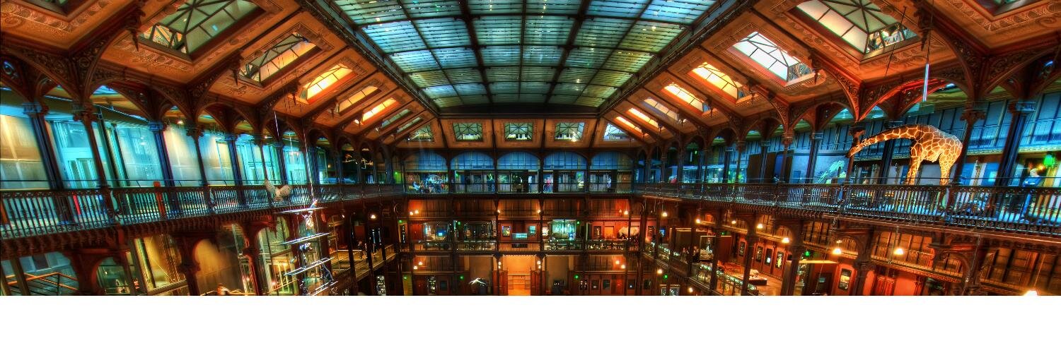 Louis Maresca banner