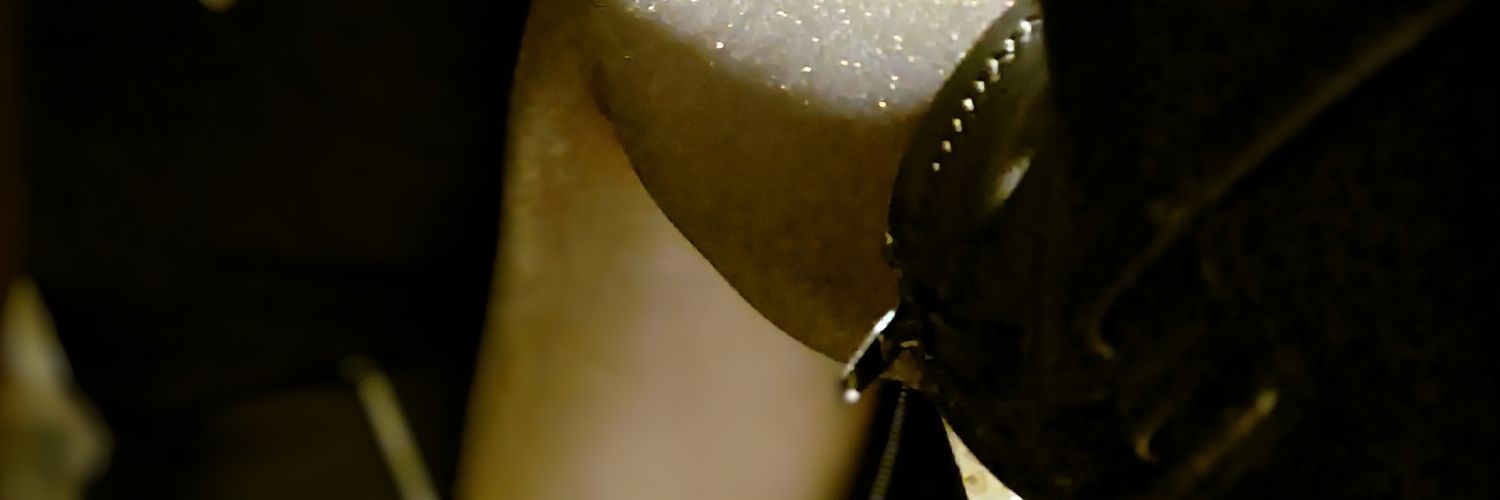 RINNKASAMA's profile banner image