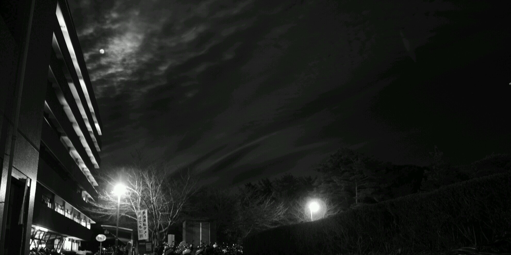 zeoliter's profile banner image