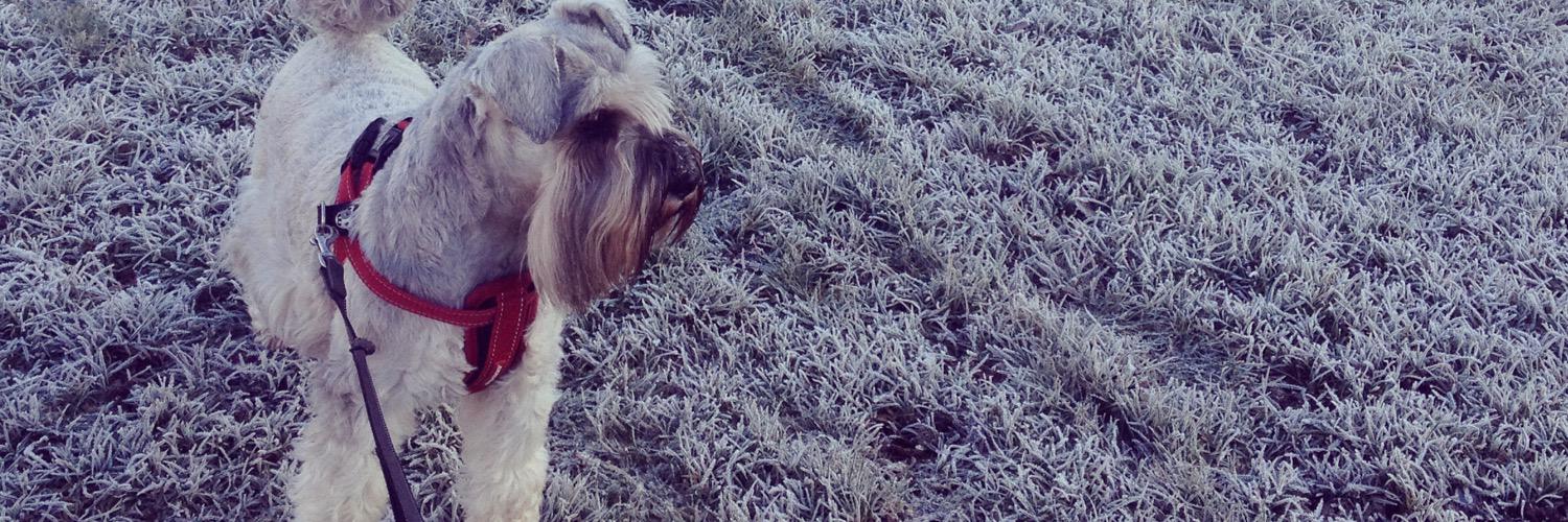 ClaireGradley's profile banner image