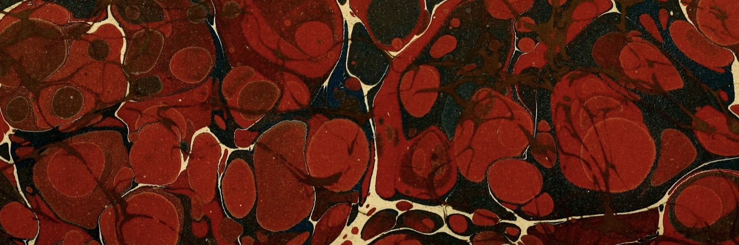 dani ࣪ ִֶָ☾. banner