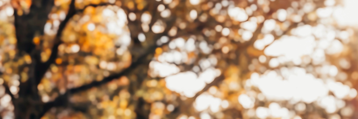 joshlittlejohn's profile banner image