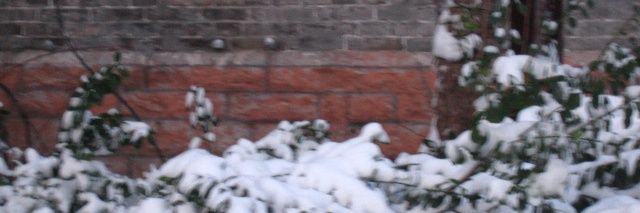 Amusement_P's profile banner image