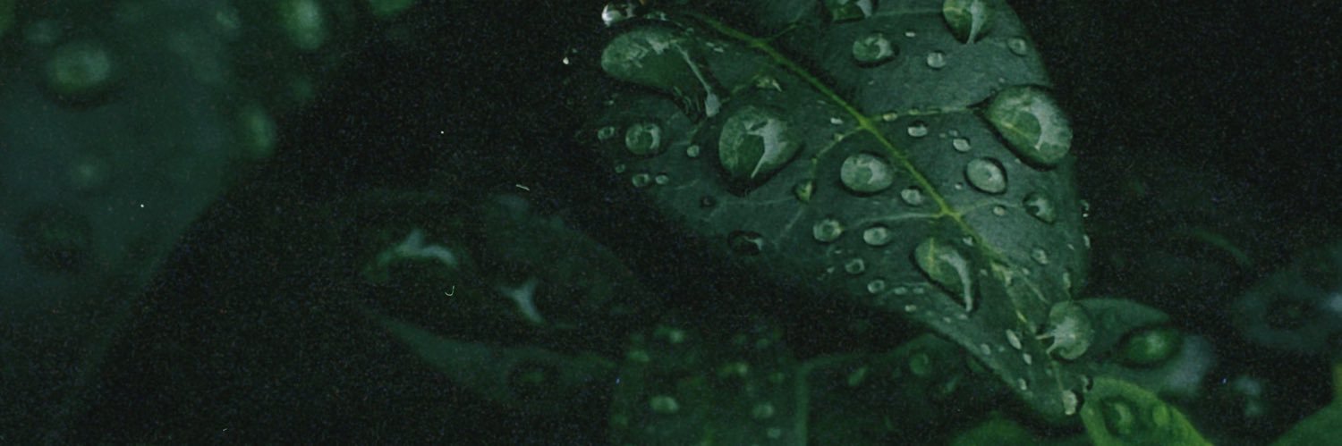 tefteli's profile banner image