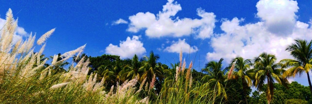 Jashore2005's profile banner image