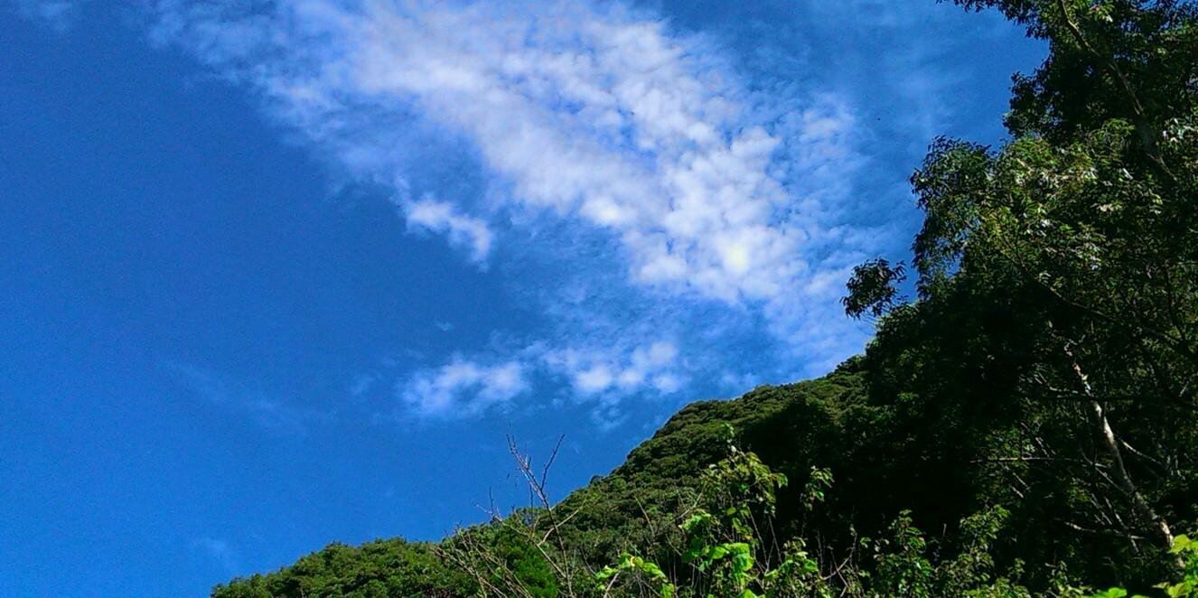 4ri5dama's profile banner image