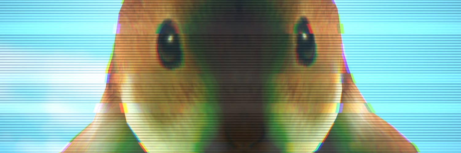 🐹 banner
