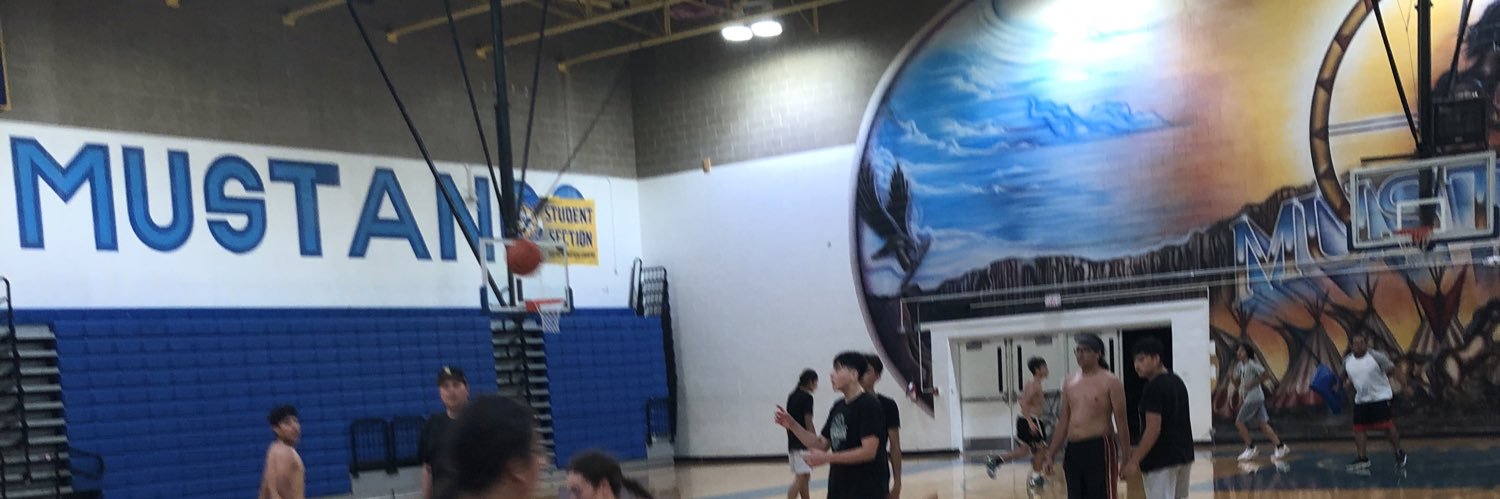 Little Wound HS Boys Basketball's banner
