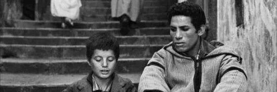 Algerianos🔻 banner