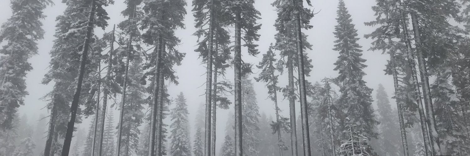 rjpichardo's profile banner image