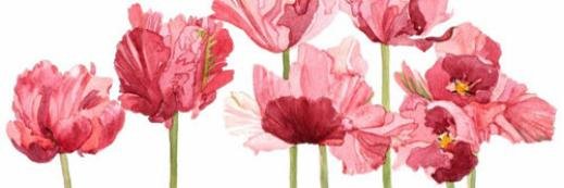GeaneRFreitas's profile banner image