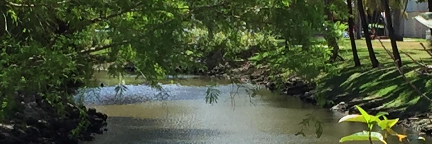 Claudia Townsend banner