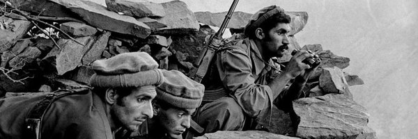 tolwar48 Profile Banner
