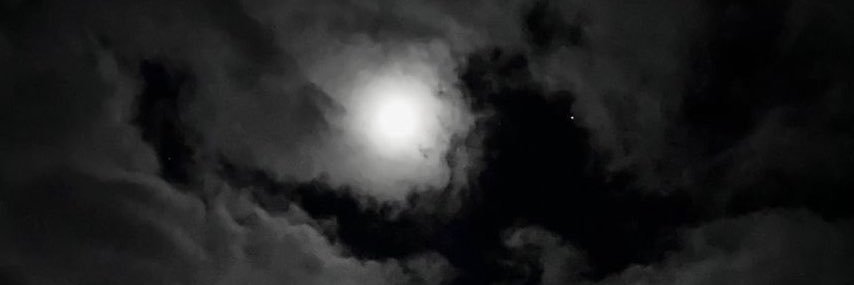BlackWolffyd's profile banner image
