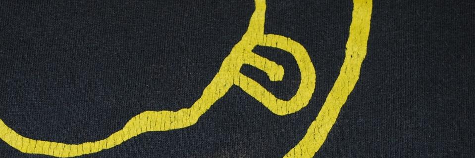 Pendejada.Com banner