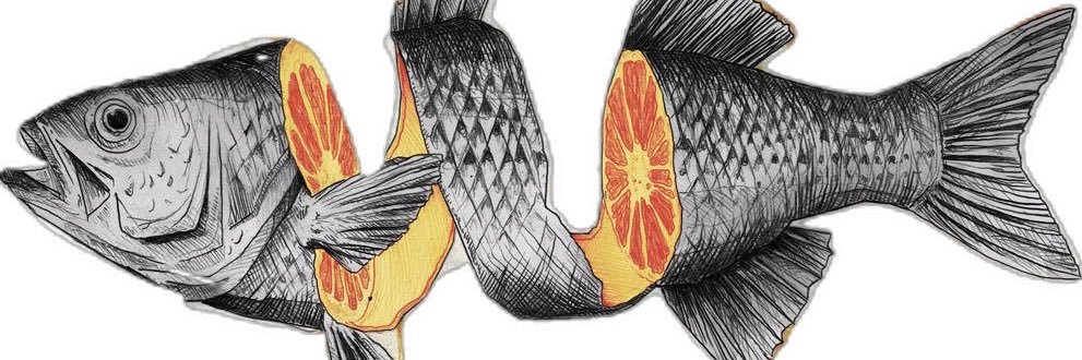 abil semigap²⁵ banner