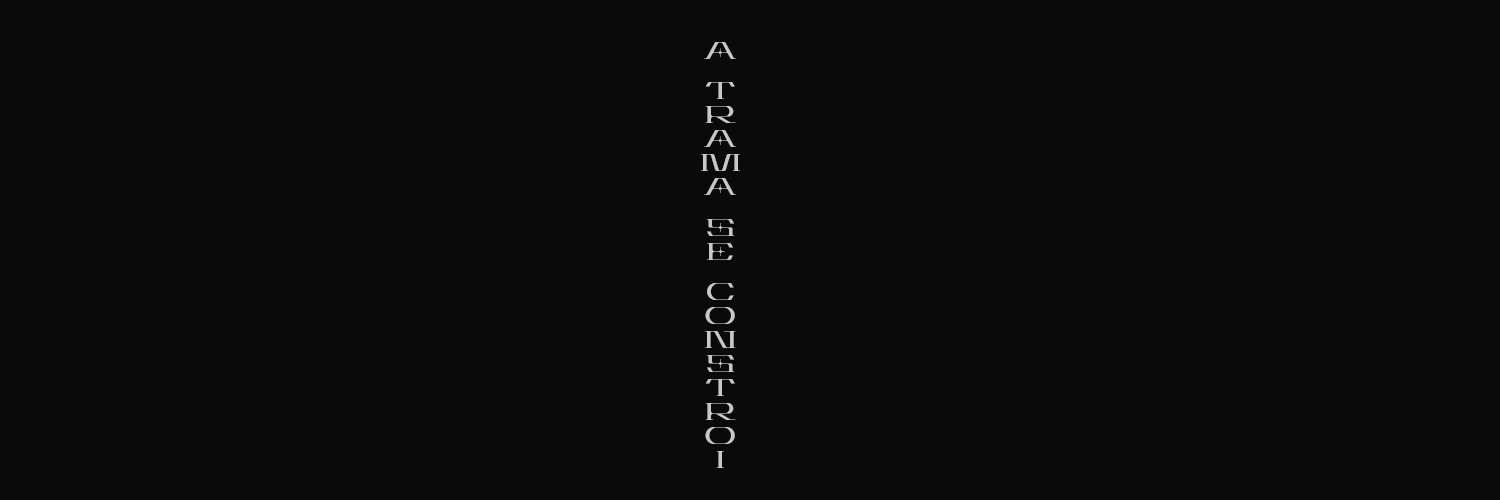 TRAMA33 banner