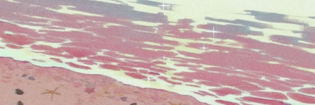 daze 🫧🐚 banner