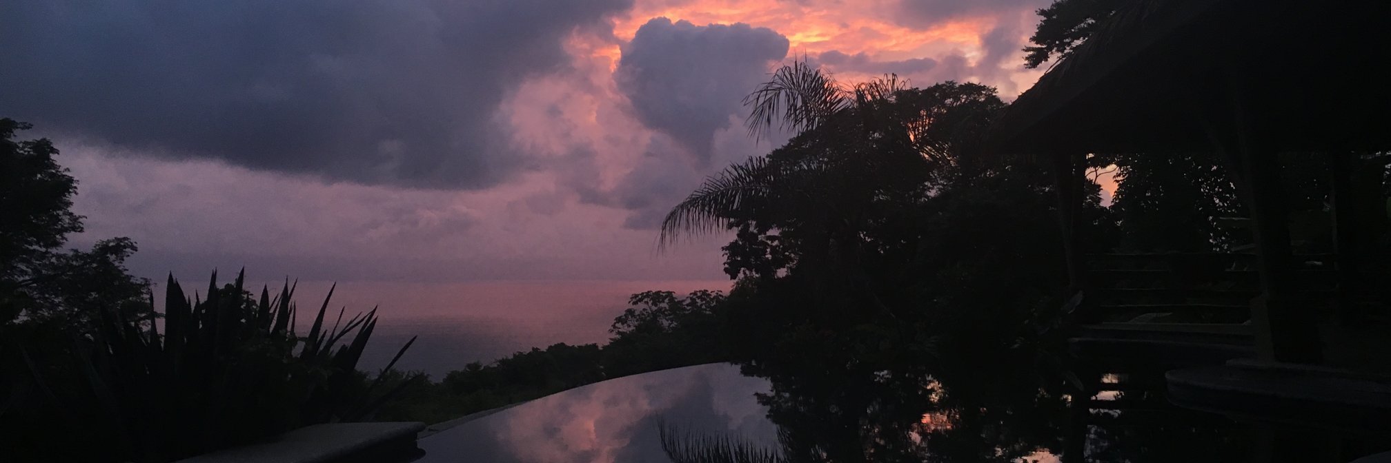 zoejessuo's profile banner image