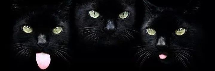DanielaGL3088's profile banner image