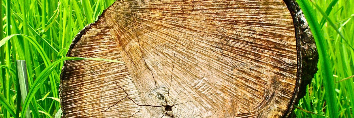 Future Law  ||  Law for a Changing World banner