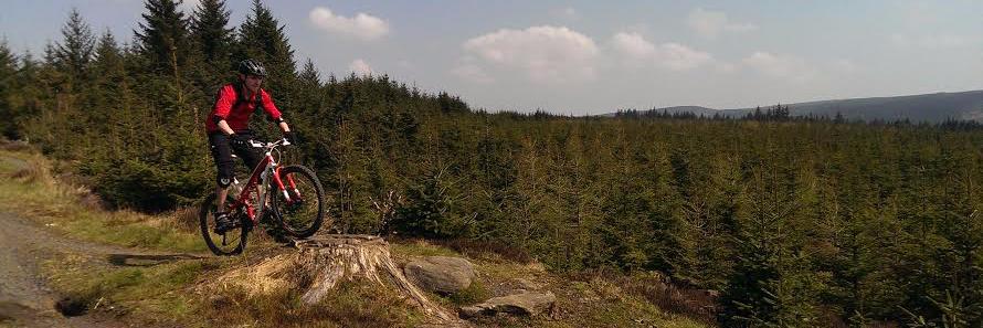 LewisAllison's profile banner image
