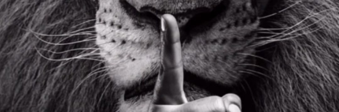 DisinformedDane's profile banner image