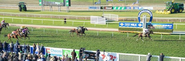 Shane Jackson banner