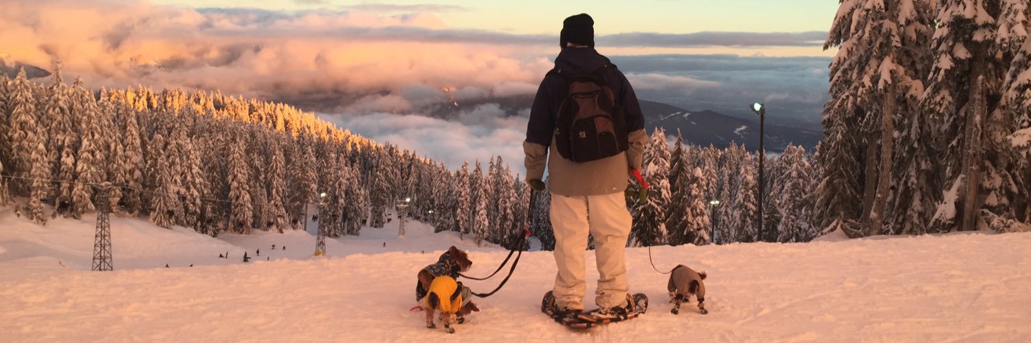jvizzo604's profile banner image