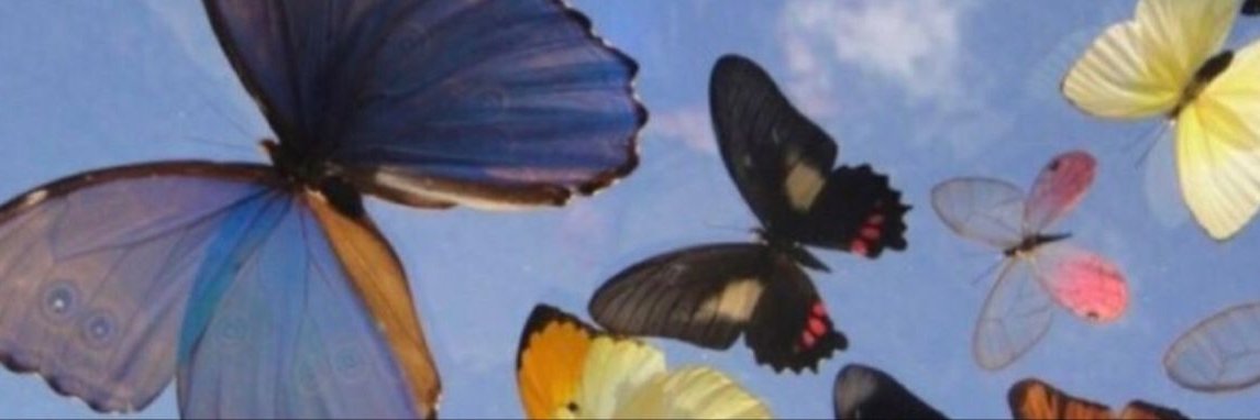 Jennifer 🧚🏽‍♀️🇧🇷 banner