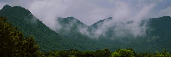 DFO_Angul Profile Banner