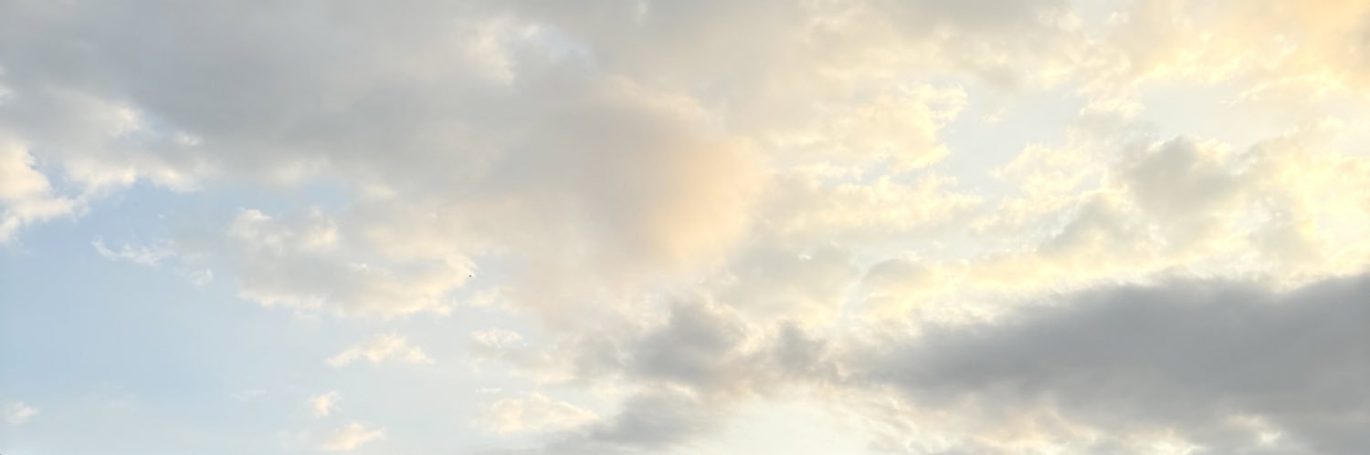 arvc96's profile banner image